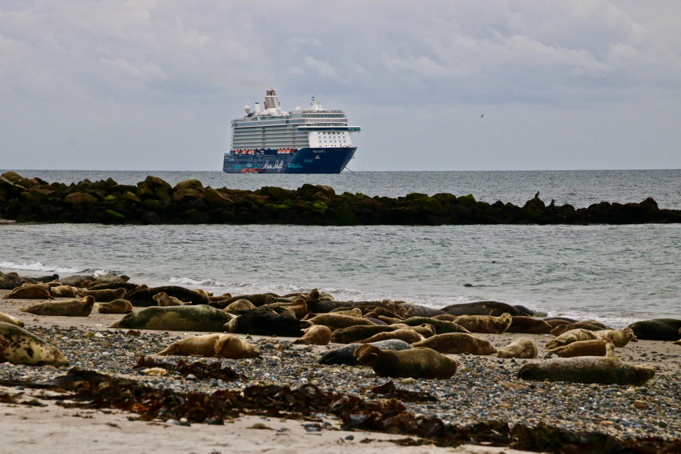 Fury Cruise Wont Forget These Days Stars At Sea